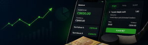 what is bankroll background